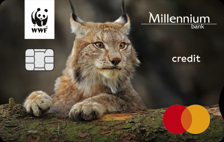 Millennium WWF Mastercard