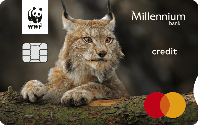 WWF Millennium Mastercard