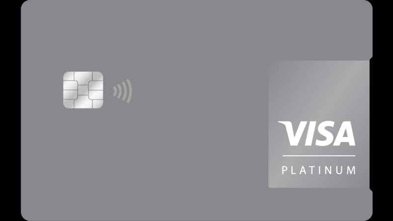 Karta kredytowa Visa Platinum